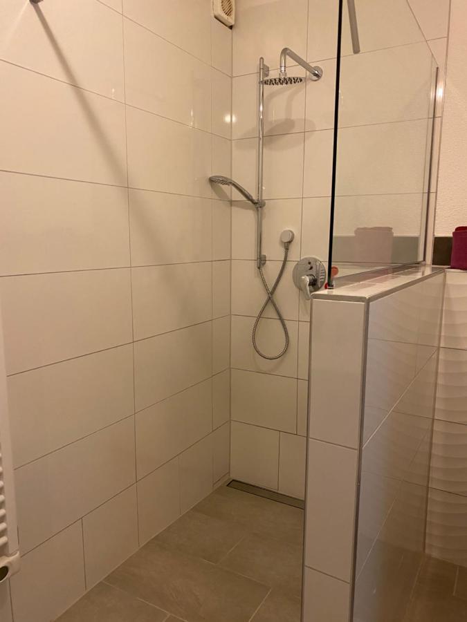 Fewo Dana Apartment Neckarsteinach Exterior photo