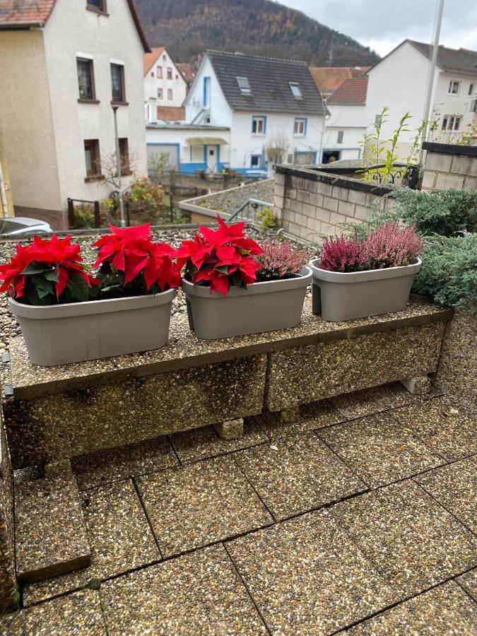 Fewo Dana Apartment Neckarsteinach Exterior photo